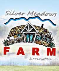 Silver Meadows Farm Market